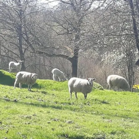 La Campagne Hacquelin Дом отдыха Quetteville
