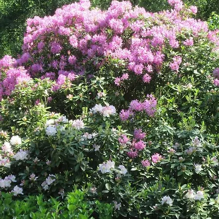 La Campagne Hacquelin *