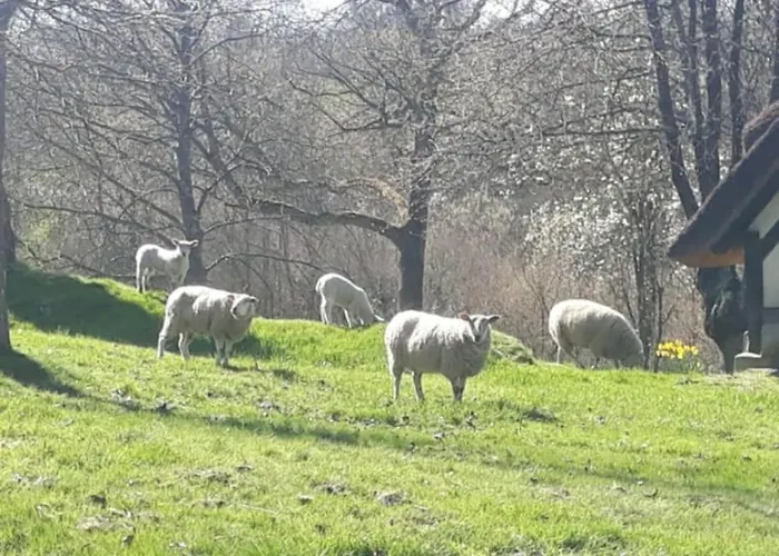 La Campagne Hacquelin בית נופש Quetteville