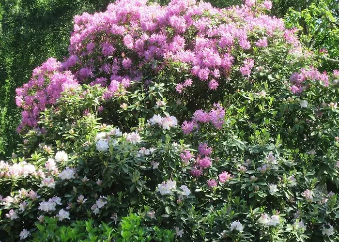 La Campagne Hacquelin *